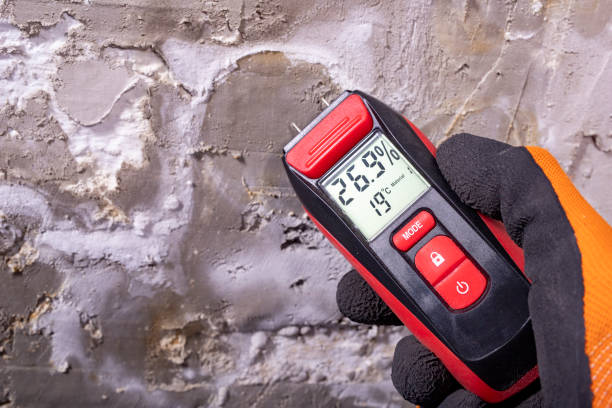 Best Certified Mold Removal  in Loop, PA