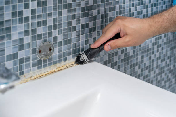 Best Mold Testing  in Loop, PA
